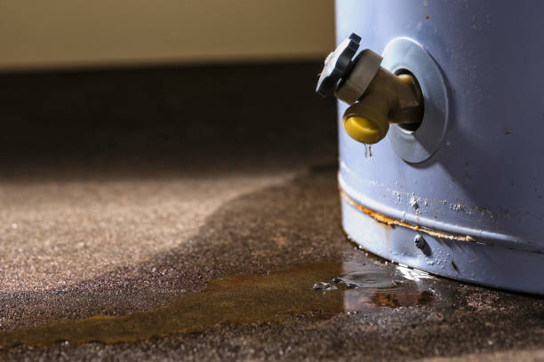 Best Ceiling water damage repair  in Audubon, PA