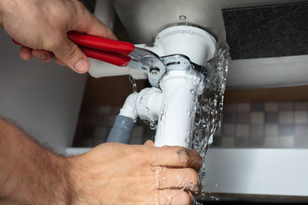Best Carpet water damage restoration  in Audubon, PA