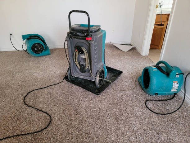  Audubon, PA Water damage restoration Pros