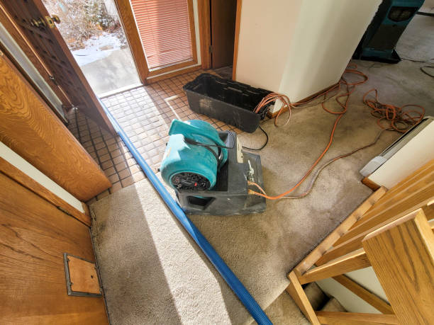 Best Professional water damage repair  in Audubon, PA