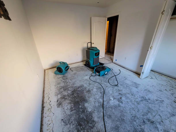 Best Professional water damage repair  in Audubon, PA
