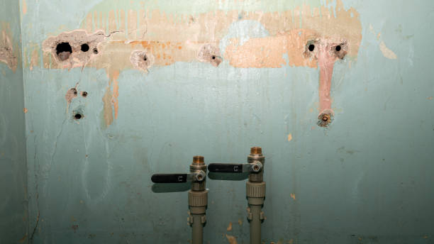 Best Commercial water damage restoration  in Audubon, PA