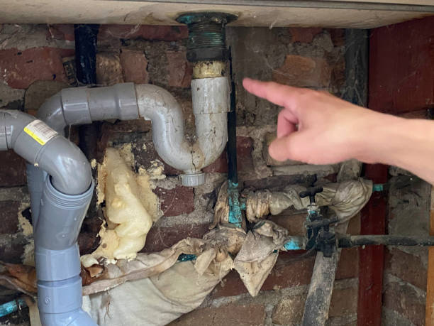 Best Carpet water damage restoration  in Audubon, PA