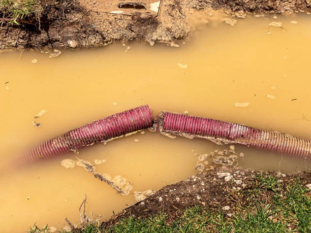 Best Water damage contractors near me  in Audubon, PA