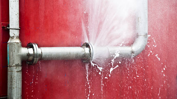 Best Basement water damage restoration  in Audubon, PA